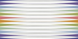 1003 HL-1