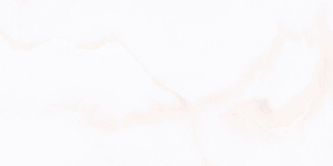 1005 L-1