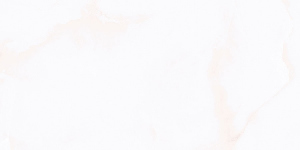 1005 L-2